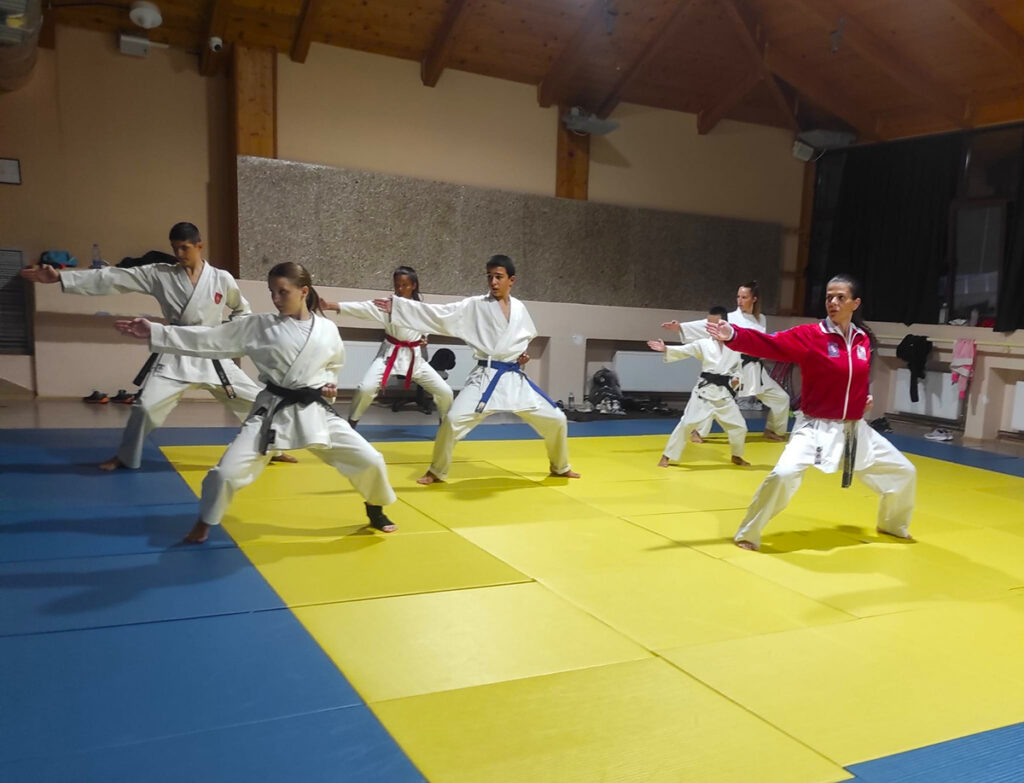 Nada Saric Prva Petoletka karate klub trening